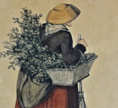 Chr Suhr, 1771-1842, Farb-Radierung Hamburg 1808: HÜLSEN WO Y OOK HÜLSEN
