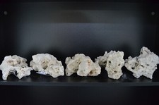 Aquarium DEKO weißes Lochstein 3 Stück Premium Qualität