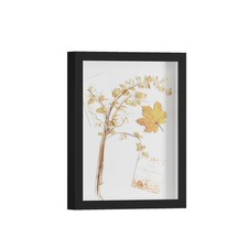 8.5x11 Shadow Box Frame Display Case with Real Glass, 3D Picture Frame for Me...