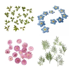 10x Pressed Real Dried Flower Dry Leaves for DIY Crafts Bookmark Card Making