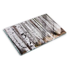 Glas-Herdabdeckplatte Ceranfeldabdeckung Spritzschutz 80x52 Birke