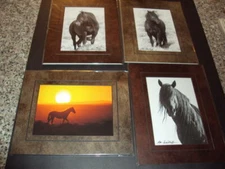 New 4  Wild Mustang Photos Matted Wyoming Signed Bob Schillereff  ID:42445