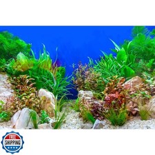 Aquarium Background Green Aquatic Plant Stone River Bed Fish Tank Background