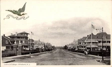 Vintage Curlew & Cottages Allenhurst NJ Black & White Postcard