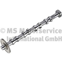 Kolbenschmidt Nockenwelle 50007712 FüR Vw Audi Skoda Seat Tiguan Van Eos 1F7 1F8