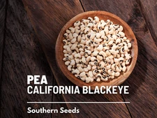 Peas, California Blackeye - Cowpeas - 100 Seeds - Heirloom - NonGMO