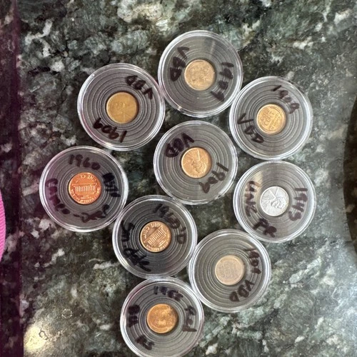 1909 VBD Cent Penny Lot & Unc Proof 1943 - Small Date 1955 1960 Cameo RED LOOK