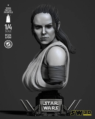 3D gedruckt 16K SW3D - Rey Portrait Büste FAN MADE unbemalt Maßstab 1:4