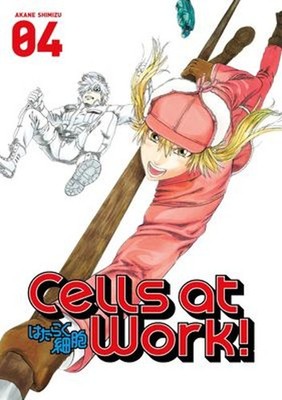 Cells at Work! 4 Paperback Akane Shimizu