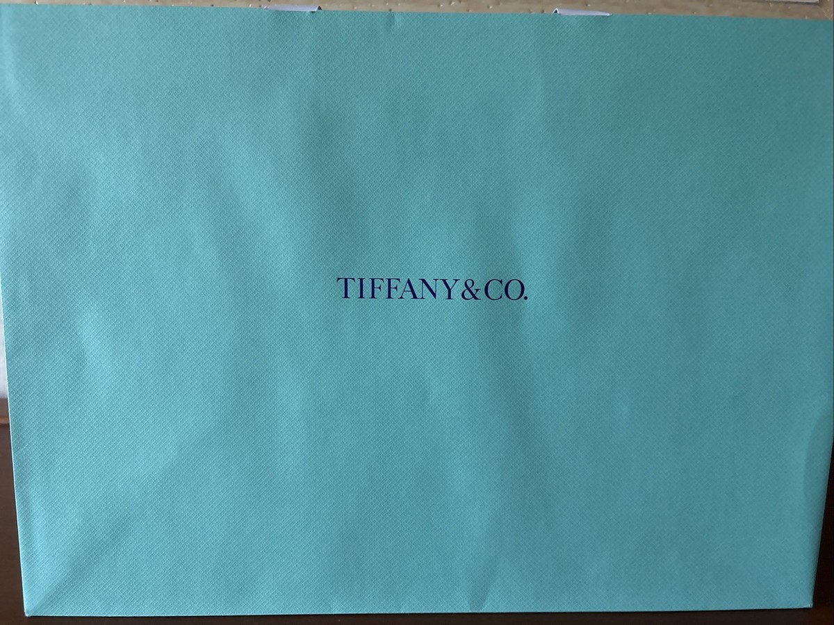 TIFFANY & Co. Bird on the Rock Tiffany Blue Gift/Shopping Bag 15