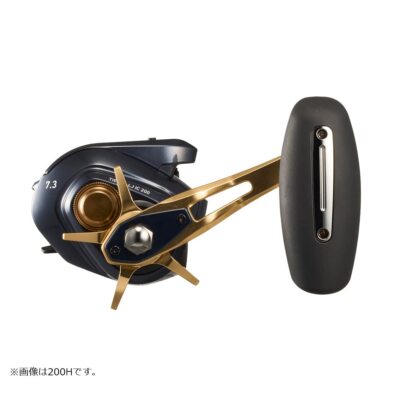 Daiwa TIERRA LJ IC200 Baitcasting Fishing Reel | eBay
