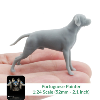 Portuguese Pointer- 1:24 Scale miniature dog for dollhouse by Stereocat (1 dog)