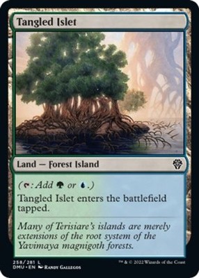 NM - Tangled Islet [DMU - 258] Dominaria United