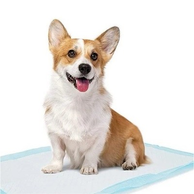 Super Absorbent Dog Diapers   Size L | 40 Pack Leak-Proof Protection