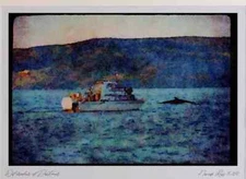 Quebec Rustic 262047 Whales Petites Bergeronnes Limited Edition Watercolour Pri