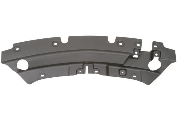 Front BLIC 6502-07-2579999P Trim/Protection Strip, bumper for FORD