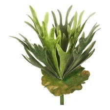 Vickerman 13" Plastic Artificial Staghorn Fern Bush in Frosted Green