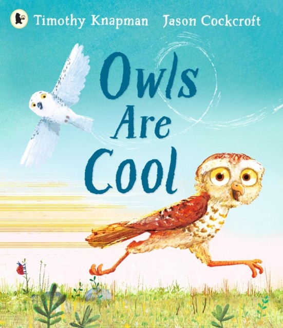 Owls Are Cool by Timothy Knapman (Paperback Book)