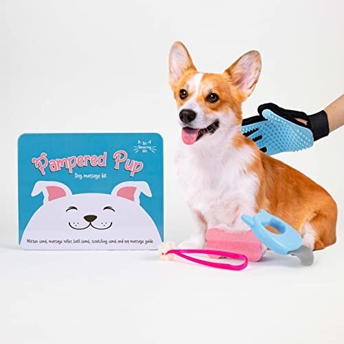 Pampered Pup Dog Massage Kit Groom Your Dog Allow Them A