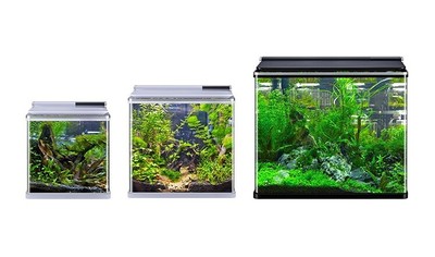 Nano Aquarium 20 L Komplettset