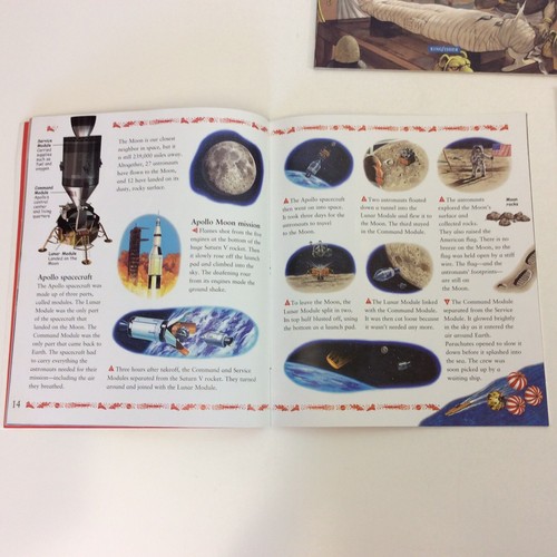 Bestes Buch der Tierkunde Kindergarten 1. 2. Klasse 6 Bilderbuch Posten - Bild 2 von 4