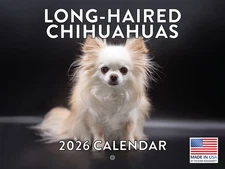 Long Haired Chihuahua Calendar 2026 Monthly Wall Calender 12 Month