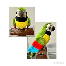 Animated 7  Repeat Talking Parrot Plush On Perch PMT Holdings 2018