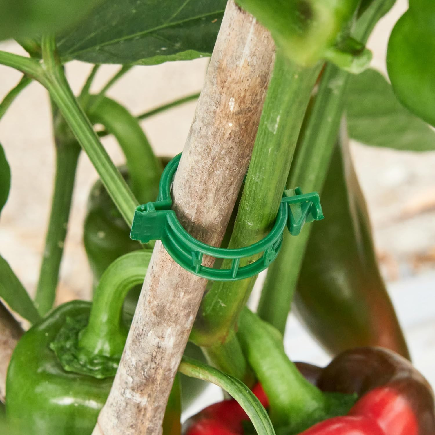 100 Pcs Plant Support Clips,Plastic Clips for Securing Plants,Tomato Vine Clips,