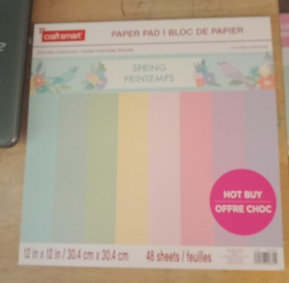 CRAFTSMART 12"x12" Paper Pad " SPRING " Textured Cardstock 48