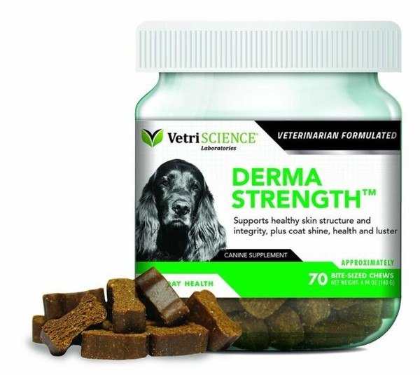 VetriSCIENCE Derma Strength Skin and Coat Supplement for Dogs 70 Soft