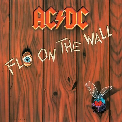 AC/DC Fly on the Wall