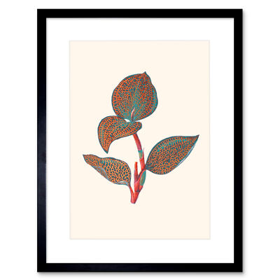 Primär farbige exotische Flora Kunstdruck gerahmtes Poster Wanddeko