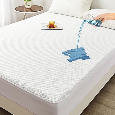 Mooreeke Premium Queen Size Nylon Mattress Protector, 100% Waterproof Natural...
