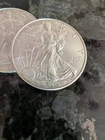 US Mint 2019 BU 20 Count Roll American Silver Eagles