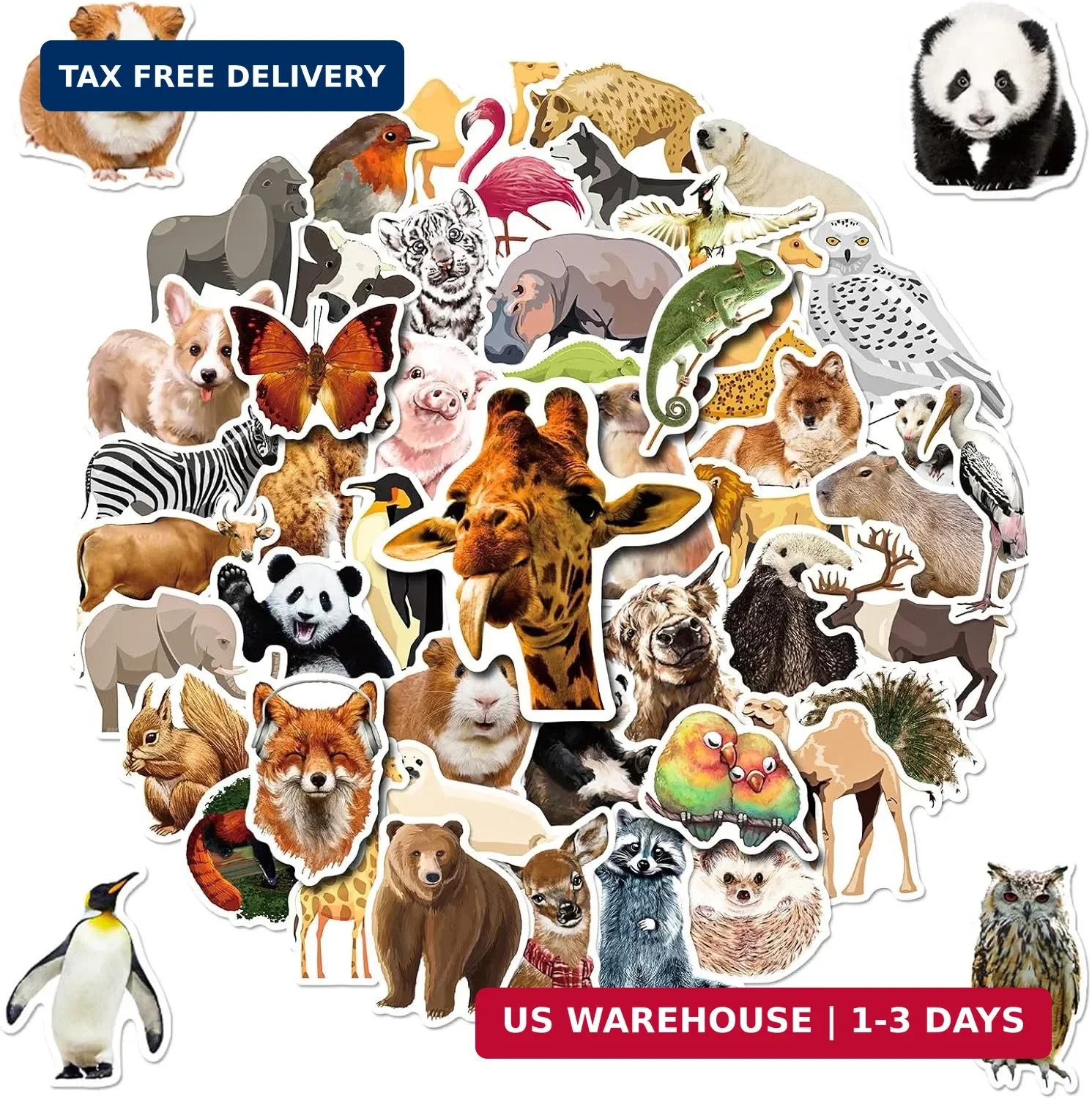 Stickers, 200 Pcs Stickers For Kids, Teens, Boys, Girls