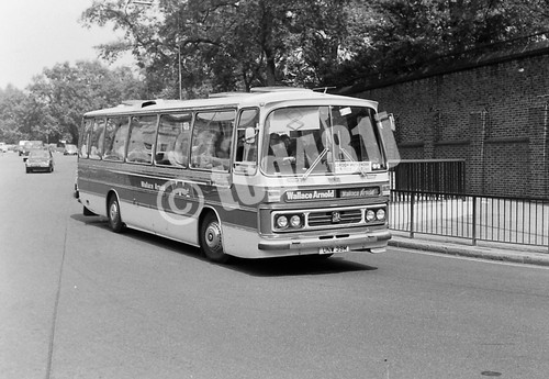 35mm orig negative Wallace Arnold UNW39M 1979 (J13.12)
