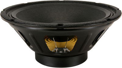 American Standard Beta-12A 12'' Pro Audio Speaker, 250 Watts at 8 Ohms