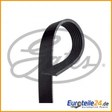 V-ribbed belt Micro-V® Gates 7PK1705 for Renault Nissan