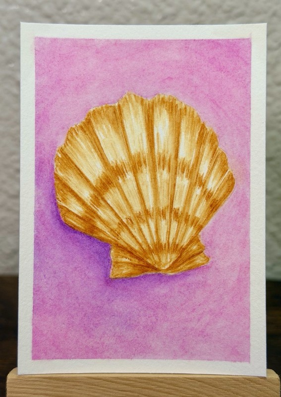 ACEO Original Painting Sea Ocean Sea Shell Pink Watercolor by valerieincolor