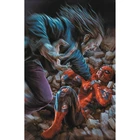 Amazing Spider-Man #26 1:100 Lee Bermejo Amazing Visions Virgin Variant