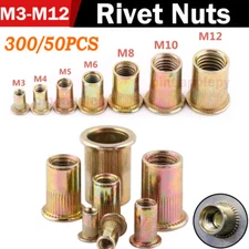 300X Zinc Plated Finish Carbon Steel Flat Head Rivnut Threaded Insert Rivet Nuts