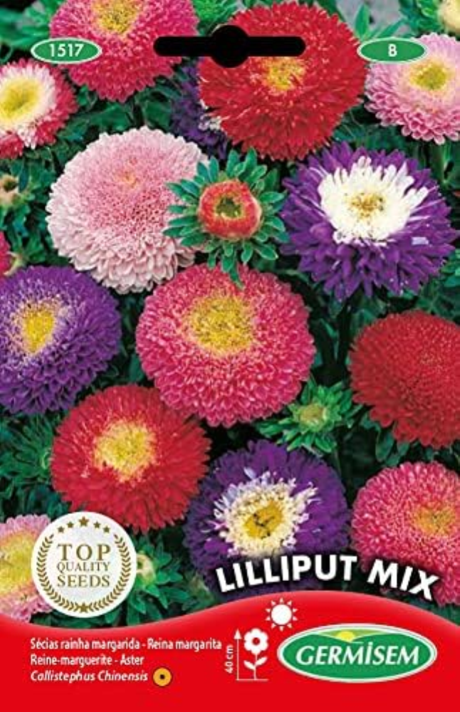 Lilliput Mix Semi di Aster Cinesi 1 g