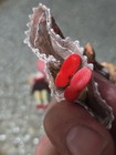 VTG GERMAN CACO WRAPPED LEGS MINI DOLLHOUSE DOLLS Mother, Son, Daughter SW#232 — photo 10