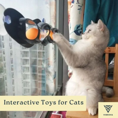 Interactive Toys for Cats   Wall-Mounted Ping Pong Track Toy with Suction Cups