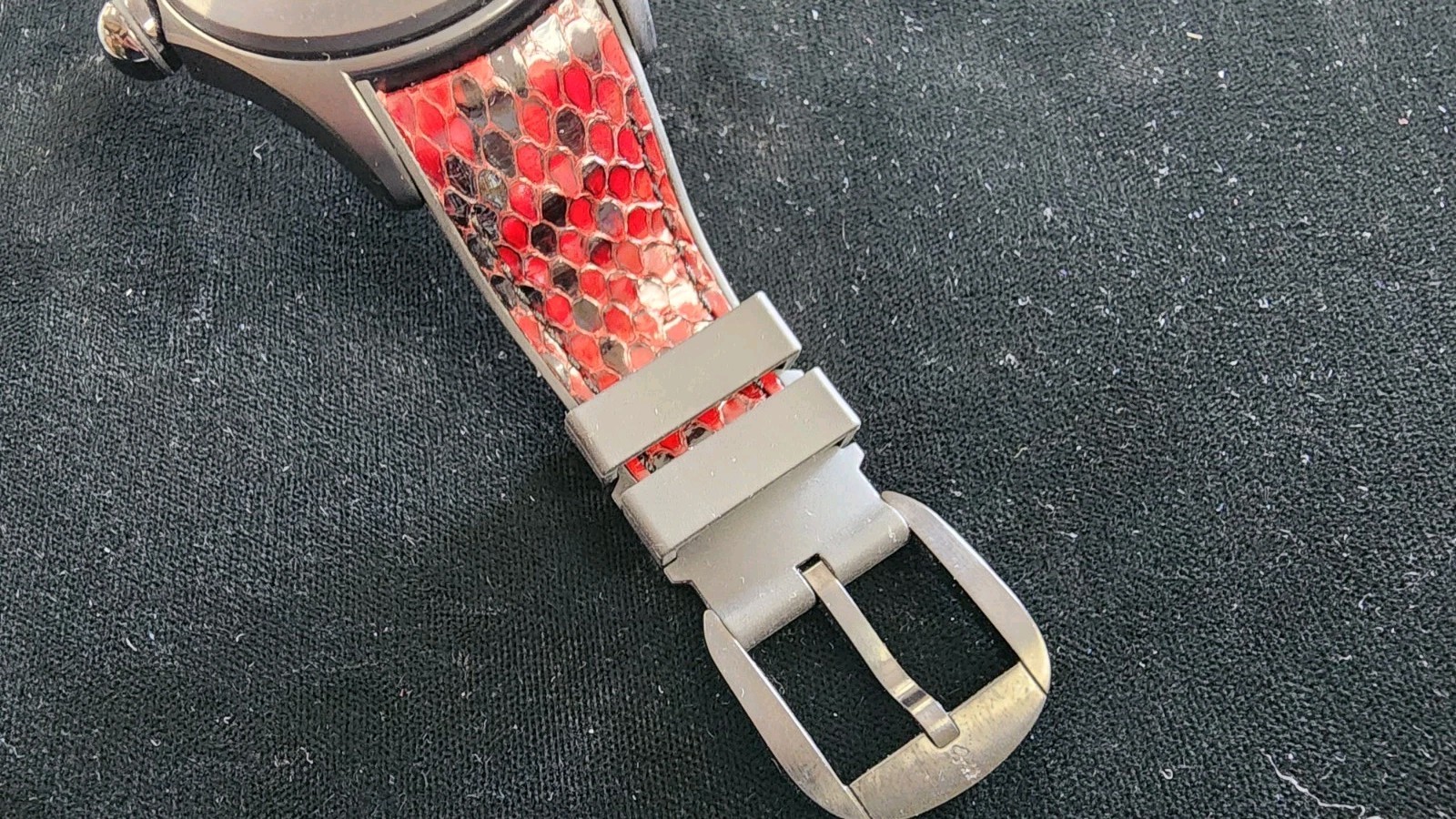 Corum Red Python Bubble Watch - image 8