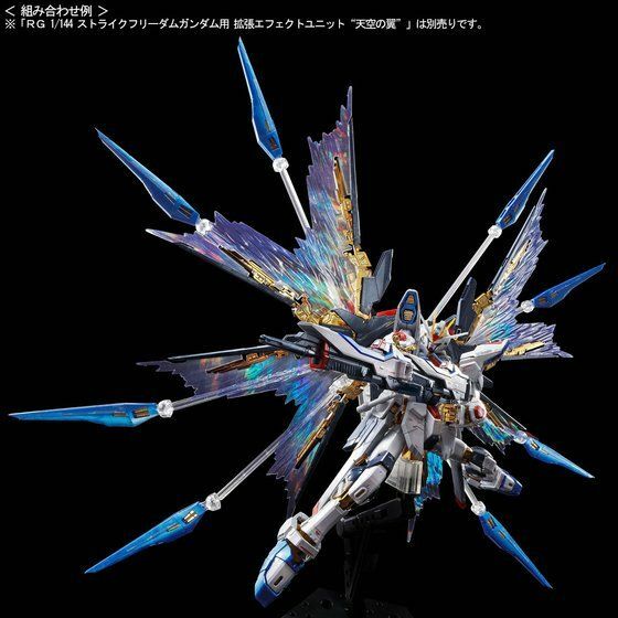 RG 1/144 Strike Freedom Gundam [Titanium Finish] | eBay