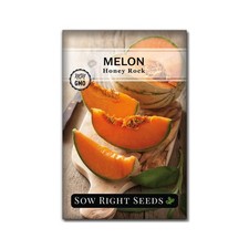 Sow Right Seeds - Honey Rock Melon Seeds for Planting - Non-GMO Heirloom Pack...