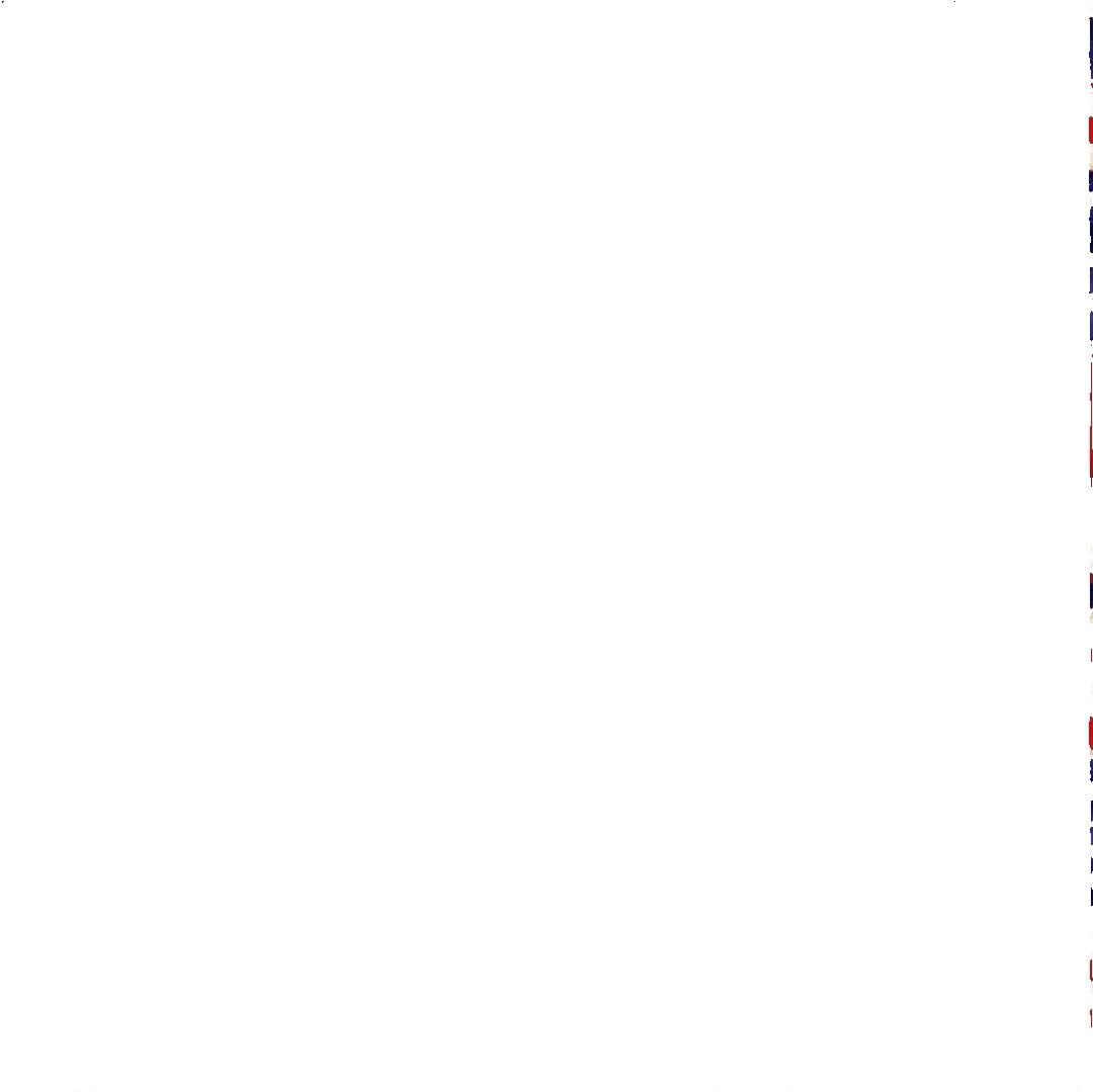 Timeless Treasures Flags & Political Craft Fabrics