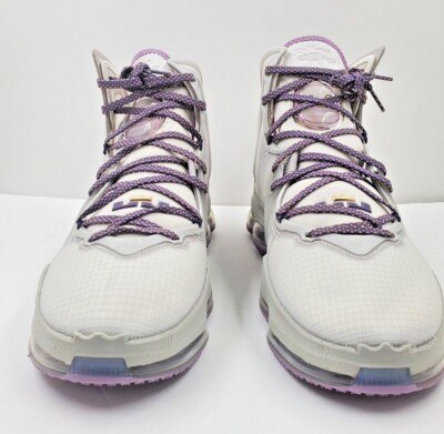 lebron strive for greatness shoes