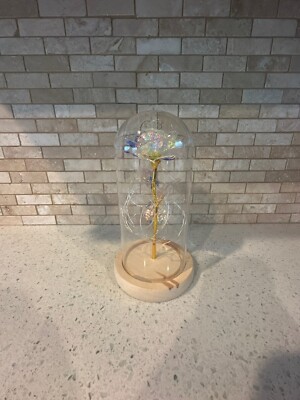 Gifts for Her Galaxy Rose